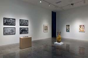 Installation photography, Seen<em>UN</em>seen, curated by Alison Saar