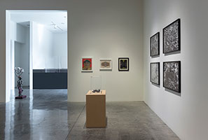 Installation photography, Seen<em>UN</em>seen, curated by Alison Saar