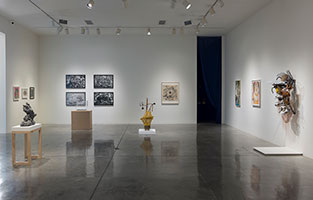 Installation photography, Seen<em>UN</em>seen, curated by Alison Saar