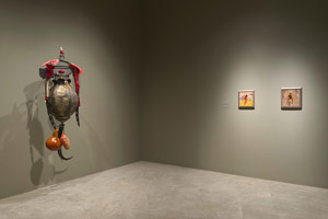 Installation photography / Rina Banerjee: Disgust