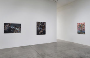 Installation photography / 
Tony Berlant: Close to Home