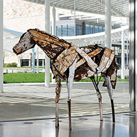 Deborah Butterfield / 
John, 1984 / 
Found steel, welded / 
82 x 88 x 32 in / 
The Fine Arts Collection, Jan Shrem and Maria Manetti Shrem Museum of Art, Gift of Edward Nicoll and Helen Kent-Nicoll / 
© 2023 Deborah Butterfield / 
Licensed by VAGA at Artists Rights Society (ARS), NY / 
Photo: Muzi Rowe