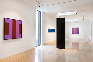Installation photography of California Color / Photography by Matthew Emonson