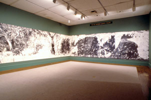 Don Suggs / LACMA installation photography, 1989