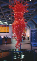 Dale Chihuly / National Gallery of Australia / installation photography, 2000