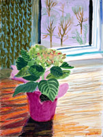 David Hockney / 
Hydrangea, Mayflower Hotel, New York, 2002 / 
watercolor & crayon on paper / 
24 x 18 1/8 in (60.9 x 46 cm) / 
Private collection