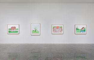 Installation photography, David Hockney: My Normandy