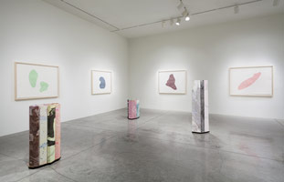 Installation photography, Richard Deacon: Beware of the Dog