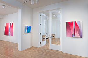 Installation photography, Dion Johnson: Color Play