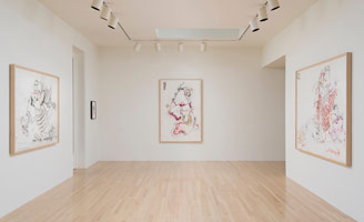 Installation photography / 
Gajin Fujita: Drawings