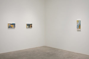 Installation photography, Gajin Fujita: Made in L.A., 13 October 2011 - 12 November 2011