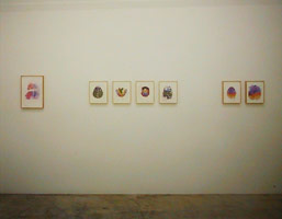 Guillermo Kuitca installation photography, 2002