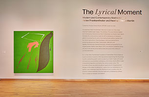 Installation photography, The Lyrical Moment / 
Photo credit: Will Lytch