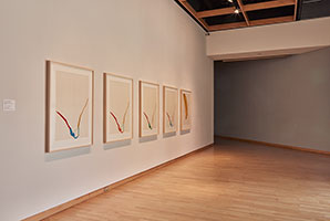 Installation photography, The Lyrical Moment / 
Photo credit: Will Lytch