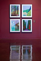 Installation photography / 
David Hockney: Perspective Should Be Reversed / 
Prints from the Collections of Jordan D. Schnitzer and His Family Foundation / 
Photo credit: Honolulu Museum of Art