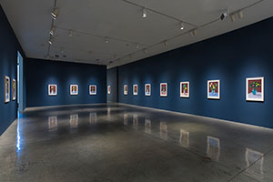Installation photography, David Hockney: 20 Flowers and Some Bigger Pictures