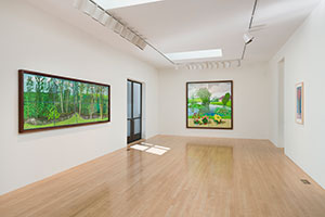 Installation photography, David Hockney: 20 Flowers and Some Bigger Pictures