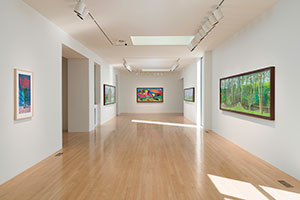 Installation photography, David Hockney: 20 Flowers and Some Bigger Pictures