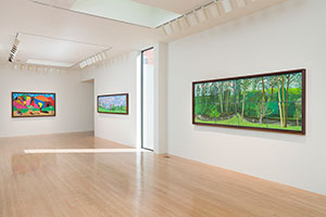 Installation photography, David Hockney: 20 Flowers and Some Bigger Pictures