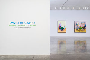 Installation photography / 
David Hockney: Painting and Photography