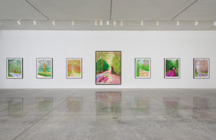 Installation photography, David Hockney: The Arrival of Spring