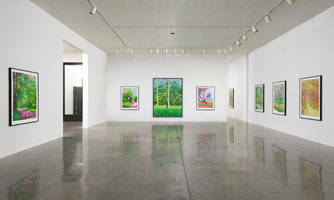 Installation photography, David Hockney: The Arrival of Spring