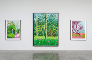 Installation photography, David Hockney: The Arrival of Spring