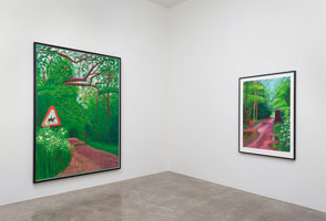 Installation photography, David Hockney: The Arrival of Spring