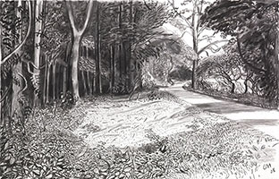 David Hockney / 
Timber Gone, 2008 / 
Charcoal on paper / 
Image credit: Richard Schmidt.