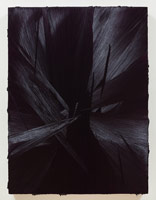 Jason Martin  / 
Caruso, 2012 / 
oil on aluminum / 
47 1/4 x 35 3/8 in. (120 x 90 cm) 