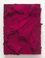 Jason Martin / 
Genus, 2011  / 
pure pigment on panel  / 
22 x 18 1/8 in. (56 x 46 cm) / 
Private collection 