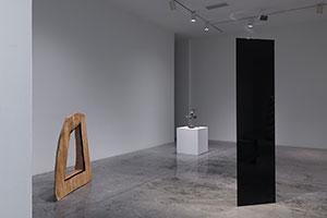 Installation photography / 
Sculpture