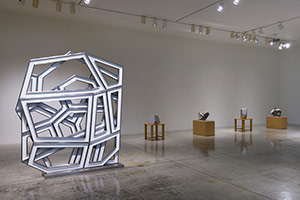 Installation photography, Richard Deacon and Sui Jianguo