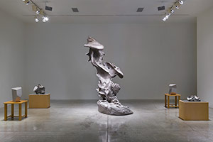 Installation photography, Richard Deacon and Sui Jianguo