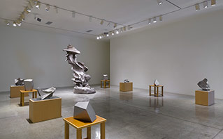 Installation photography, Richard Deacon and Sui Jianguo