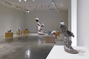 Installation photography, Richard Deacon and Sui Jianguo