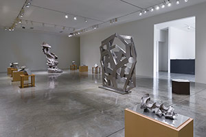 Installation photography, Richard Deacon and Sui Jianguo