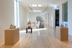 Installation photography, Richard Deacon and Sui Jianguo