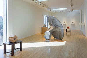 Installation photography, Richard Deacon and Sui Jianguo