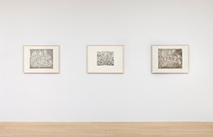 Installation photography / 
Leon Kossoff: Transcriptions from Poussin