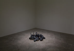 Installation photography / 
Enrique Martínez Celaya: The Hunt's Will