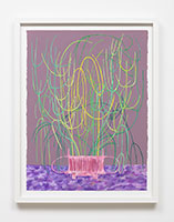 Matt Wedel / 
Potted Plant, 2021 / 
gouache on paper / 
Paper: 30 x 22 1/2 in. (76.2 x 57.2 cm) / 
Framed: 34 1/2 x 26 1/2 in. (87.6 x 67.3 cm) / 
MW21-048