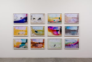 Matthew Brandt / 
Rainbow Lake WY G1, 2013 / 
c-prints soaked in Rainbow Lake water / 
12 works, each framed: 22 1/8 x 32 1/8 in. (56.2 x 81.6 cm) 