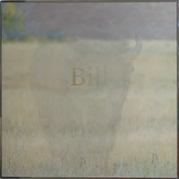 Nancy Reddin Kienholz /  
Buffalo Bill, March 8, 2008 /  
lenticular (mixed media) /  
Image: 40 9/16 x 40 in. (103 x 101.6 cm)  /  Framed: 41 x 40 1/2 x 1 1/2 in. (104.1 x 102.9 x 3.8 cm)
