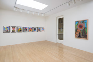 Installation photography / 
Don Suggs: Paradise