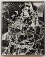 Peter Holzhauer / 
PV Rock, 2011 / 
gelatin silver print / 
21 1/2 x 17 1/8 in. (54.6 x 43.5 cm) framed: 22 x 17 1/2 in. (55.9 x 44.5 cm) / Edition 1 of 6