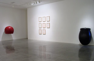 Peter Shelton, Domenico Bianchi / installation photography, 2002