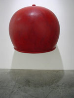 Peter Shelton / 
redtop, 1992 - 2002 / 
mixed media / 
38 x 46 x 44 in (96.5 x 116.8 x 111.8 cm) / 