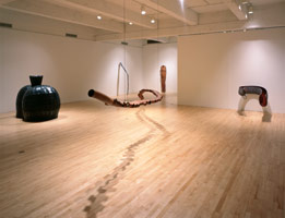 Peter Shelton installation photography, 1991