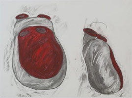 2redbellys, 2011 / 
graphite and gouache on vellum / 
18 x 24 in. (45.7 x 61 cm)
  